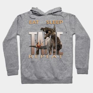 Eat Sleep Tame Repeat Hoodie